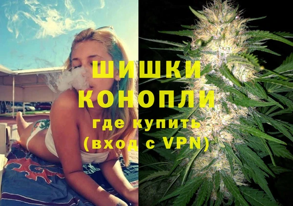 индика Бугульма