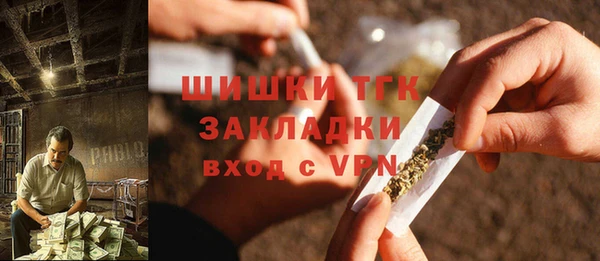 PSILOCYBIN Верхний Тагил